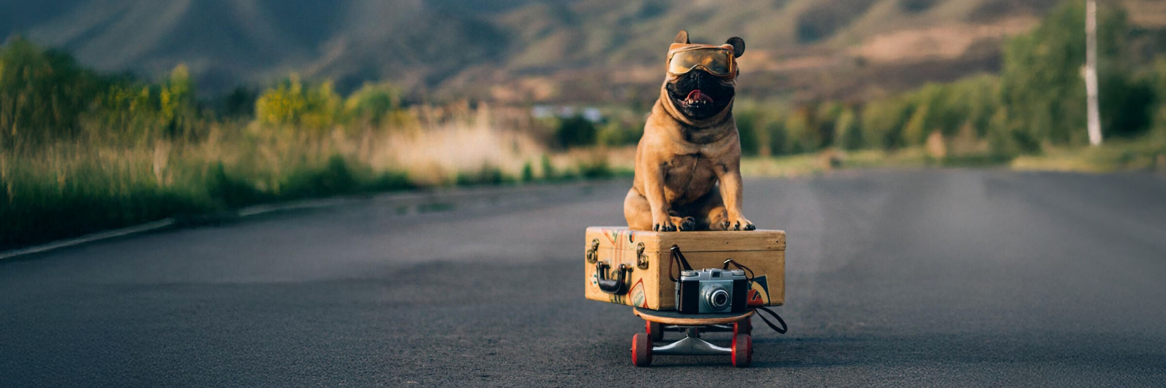 roadshow-richvintage_istock-500x750