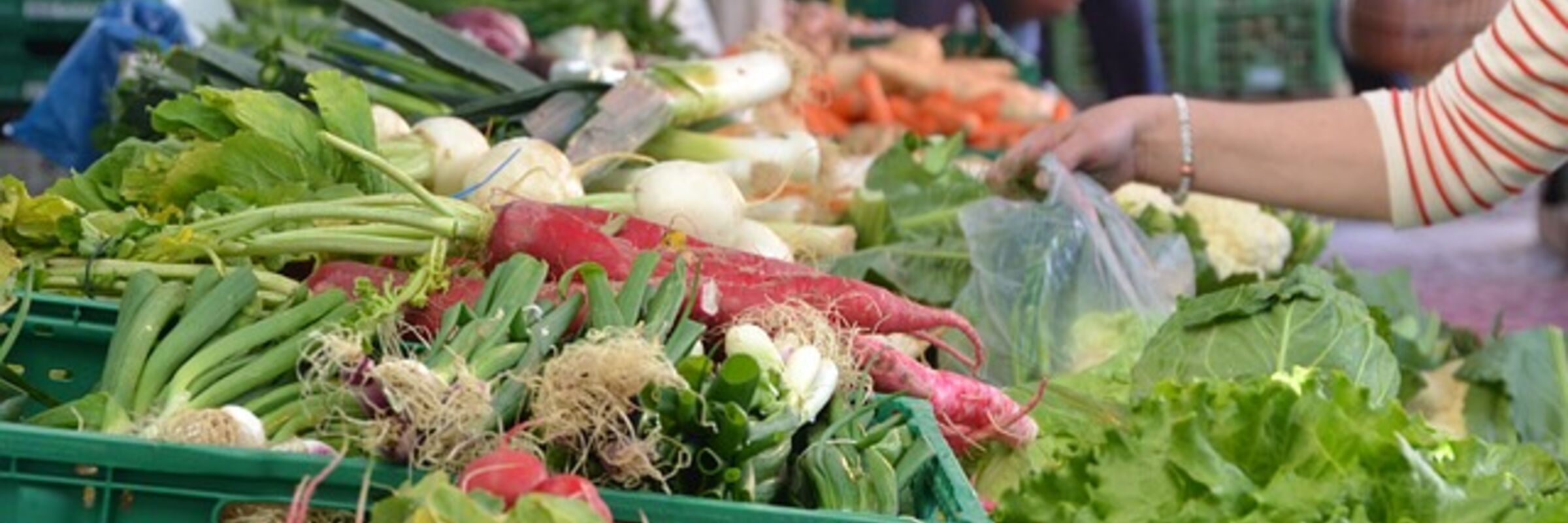 Nachhaltige Ernährung in Gemeinden 